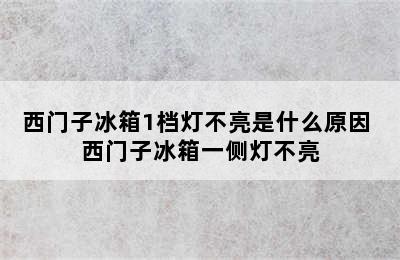 西门子冰箱1档灯不亮是什么原因 西门子冰箱一侧灯不亮